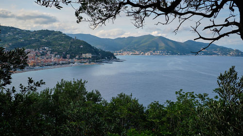 Scenic view of town by sea