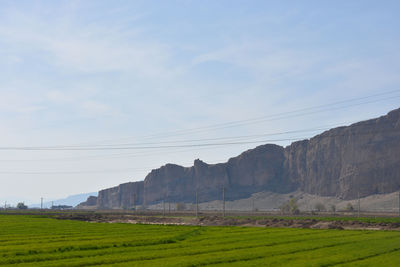 Scenic view of grassy field against sky