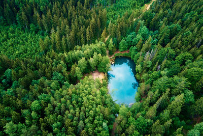 Aerial view of blue colored forest lake in poland