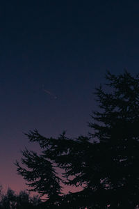 Low angle view of silhouette trees against sky at night