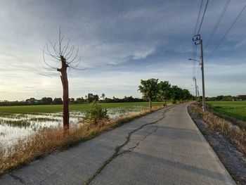 Road by trees against sky