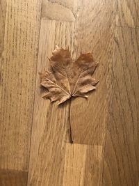 High angle view of dried plant on wooden table