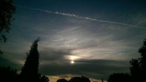 Low angle view of silhouette trees against sky