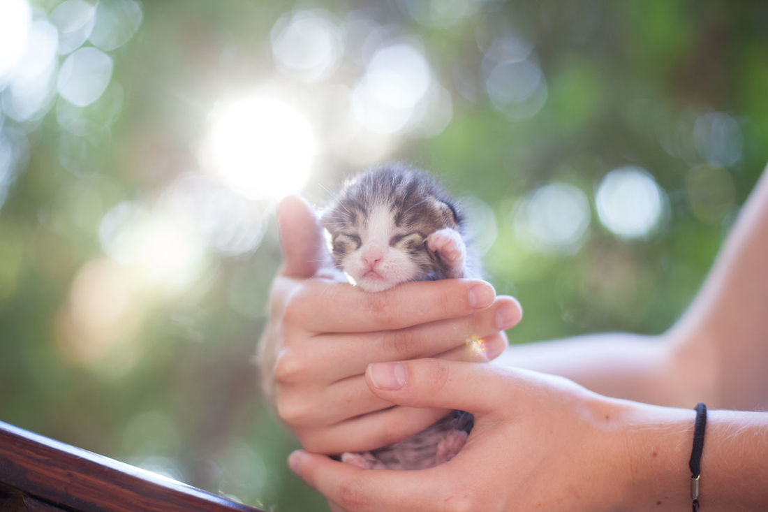 Süße Tierbabys: Bilder und Fotos | EyeEm