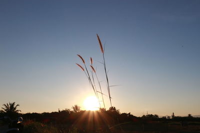 Silhouette plants on field against sky during sunset