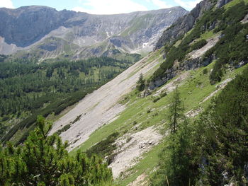 Scenic view of landscape against mountains