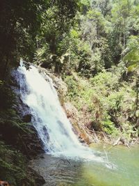 Scenic view of waterfall in forest