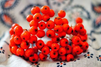 Close-up of rowanberries