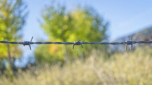 Close-up of barbed wire fence on field against sky