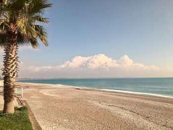 Scenic view of beach against sky