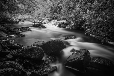 Scenic view of waterfall in forest