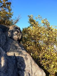 Low angle view of rock formation against clear blue sky