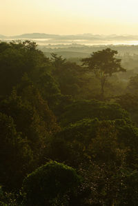 Scenic view of landscape against sky during sunset