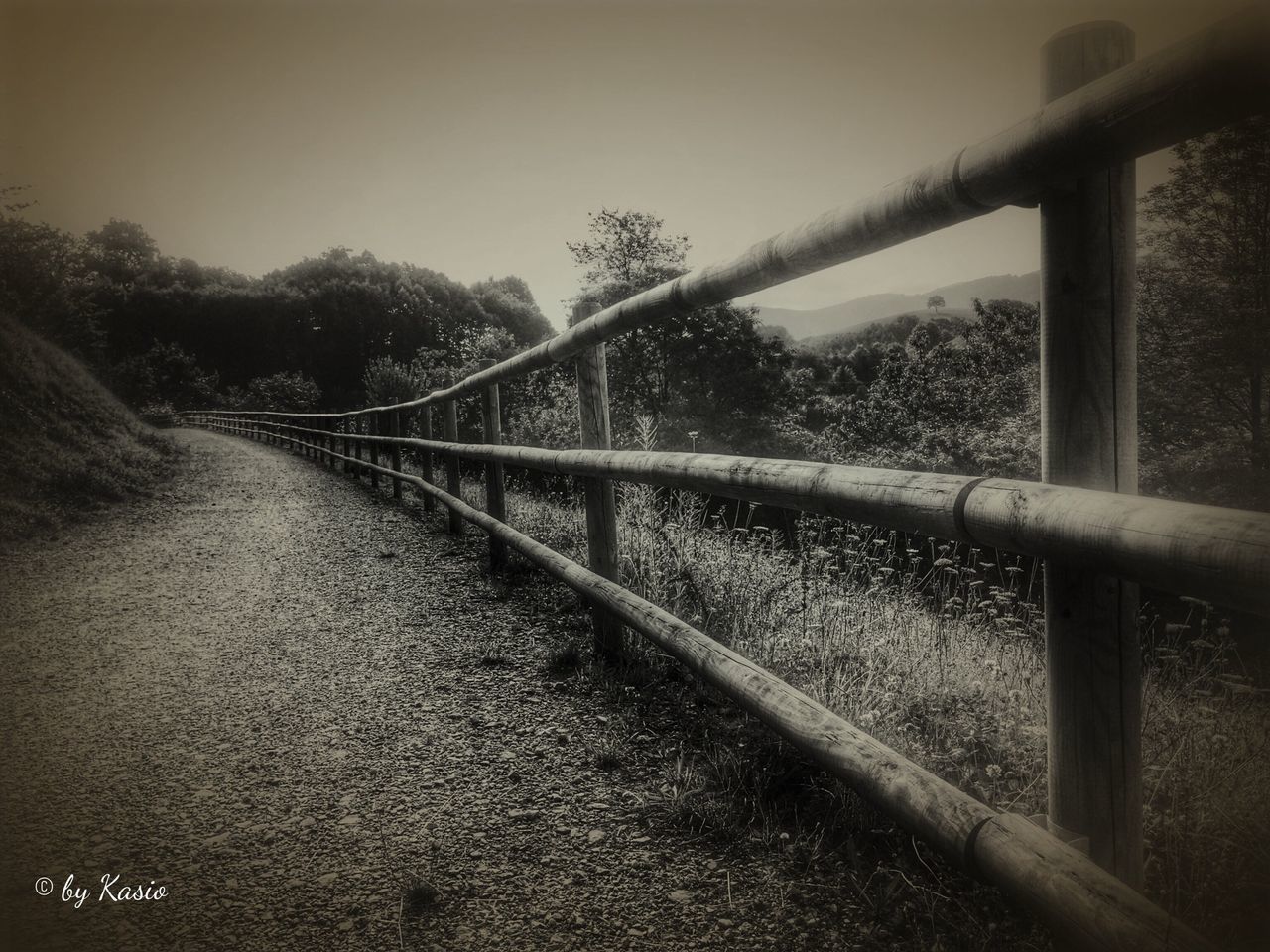 railing, water, bridge - man made structure, tree, connection, tranquility, tranquil scene, clear sky, the way forward, river, fence, footbridge, nature, bridge, metal, built structure, sunlight, scenics, sky, no people