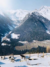 Scenic view of snow covered mountains against sky