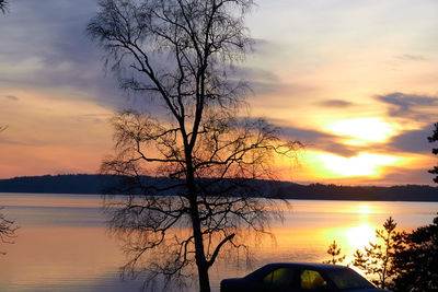 Silhouette tree by lake against sky during sunset