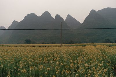 Scenic view of field with mountains in background