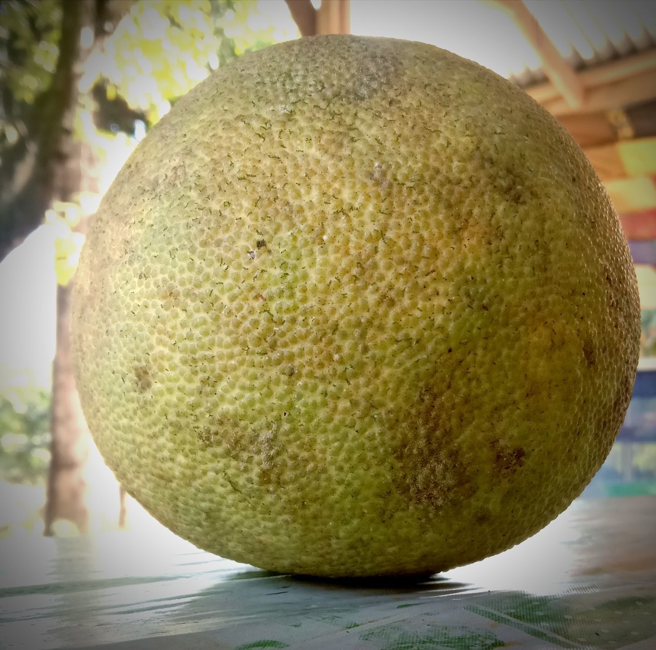 food, fruit, plant, food and drink, healthy eating, produce, wellbeing, freshness, close-up, citrus, yellow, no people, melon, nature, focus on foreground, green, outdoors, tropical fruit, day, citrus fruit