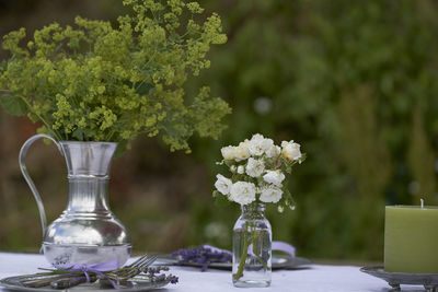 Close-up of flower pot on table