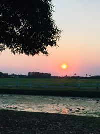 Scenic view of field against sky during sunset