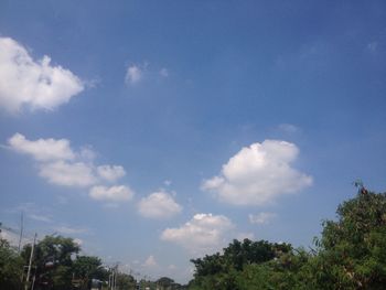 Low angle view of trees against blue sky
