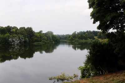 Reflection of trees in lake