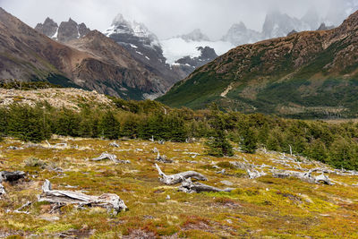 Scenic view of stream amidst field against sky