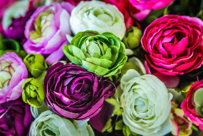 Close-up of multi colored flowers