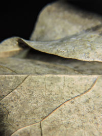 Close-up of bread