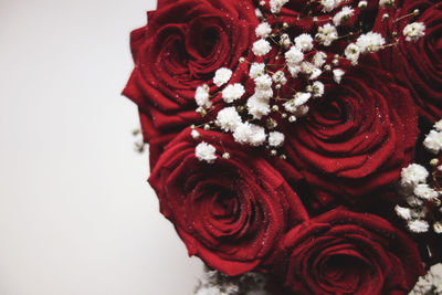 Close-up of rose bouquet against white background