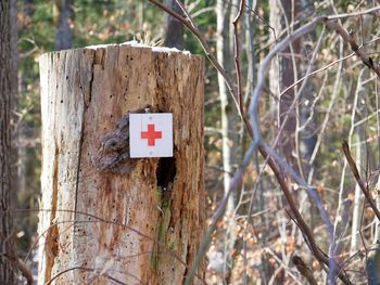 Close-up of warning sign on tree