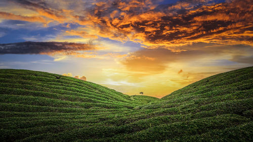 Scenic view of agricultural field against sky during dramatic sunset