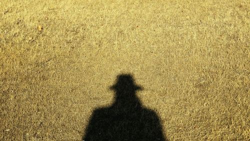 Shadow of man on grass