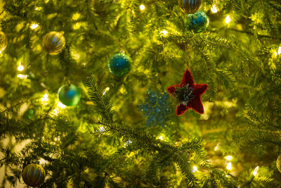 Close-up of christmas tree