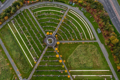 High angle view of green leaf on grass