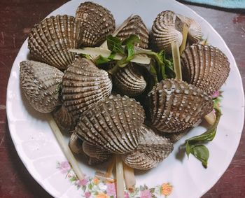 High angle view of fish in plate on table