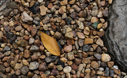 High angle view of stones in pebbles