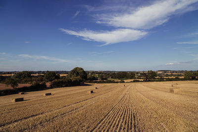 Scenic view of agricultural field against blue sky