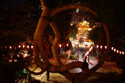 People sitting by illuminated tree at night