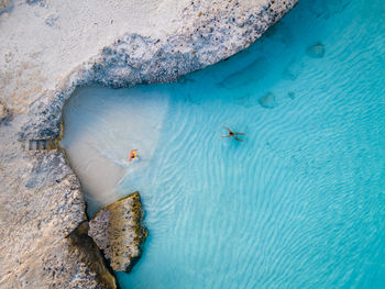 High angle view of fish swimming in sea