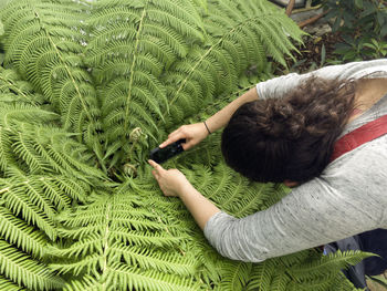 High angle view of woman photographing fern with mobile phone