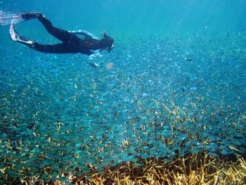 Woman snorkeling by school of fishes in sea