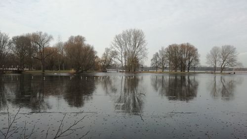 Reflection of trees in water against sky