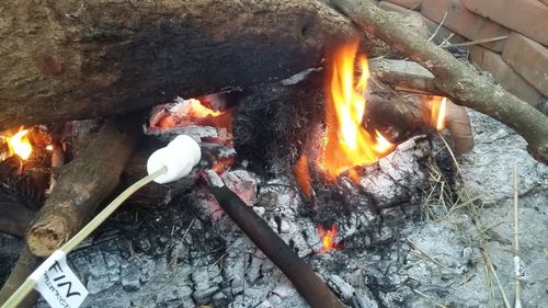 Close-up of bonfire on barbecue at night