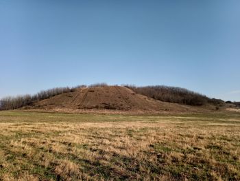 Scenic view of field against clear sky