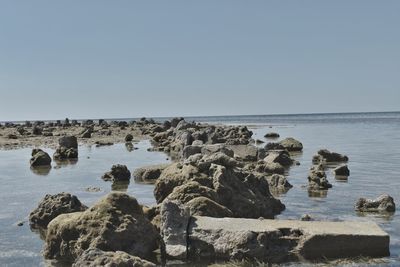 Scenic view of sea against clear sky