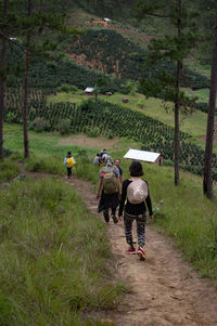 Rear view of people walking on field