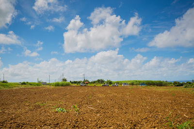 Scenic view of agricultural field against sky