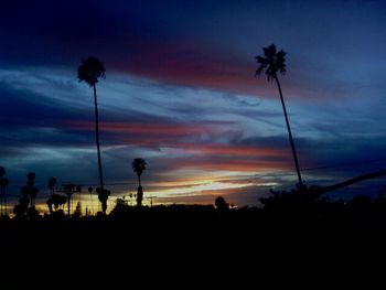 Silhouette of palm trees at sunset