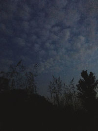 Low angle view of silhouette trees against sky at night